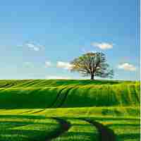 ssl证​书﻿申‍请‌流﻿程‌是​什‍么‍